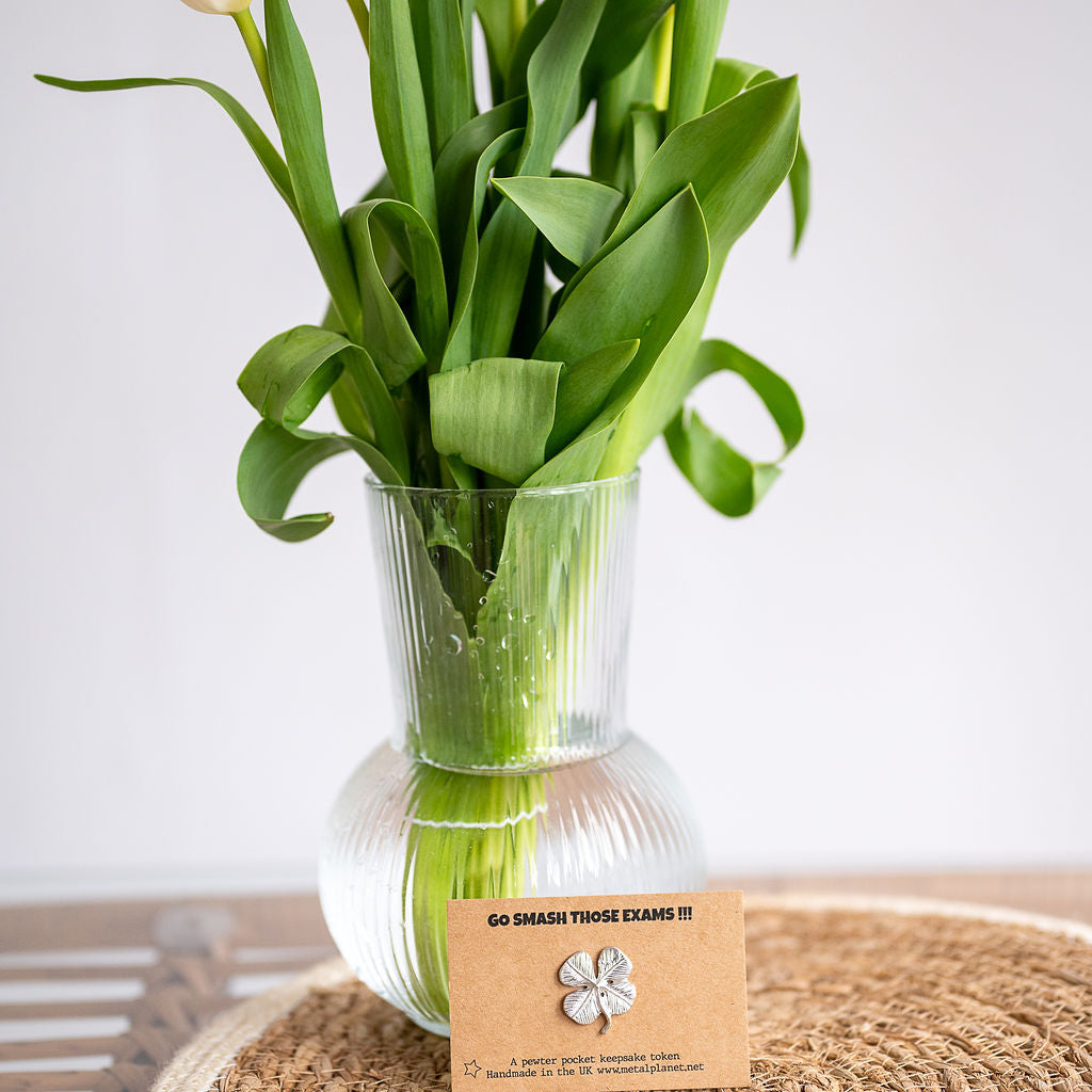 Go smash those exams - lucky shamrock pocket keepsake gift set